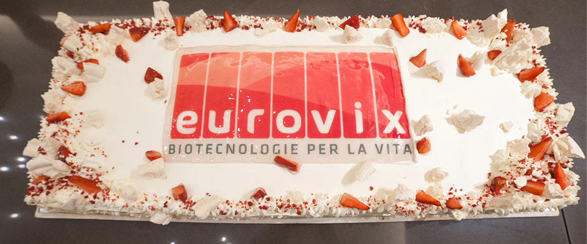 meeting_eurovix_2020_torta